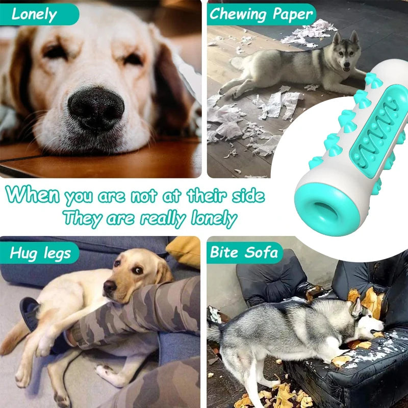 PawChew Soft Dog Toothbrush Toy – Safe & Fun Dental Care for Puppies & Dogs 🦷🐶