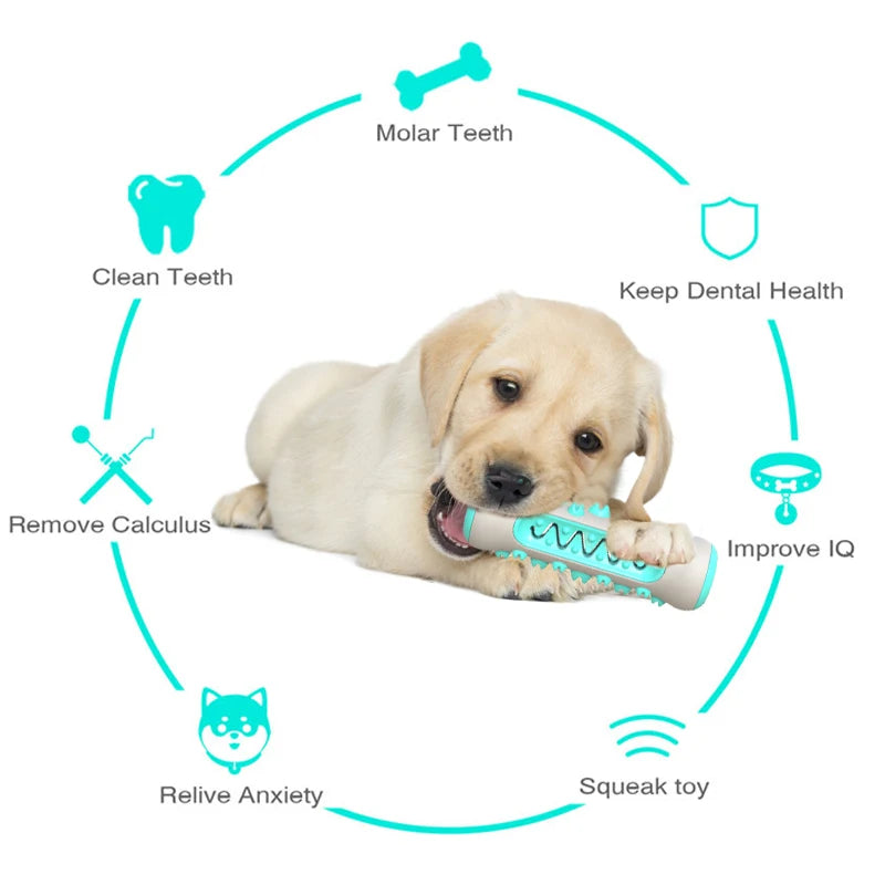 Jouets de brosse à dents pour molaires de chien, jouets à mâcher pour nettoyer les dents, soins dentaires sûrs pour chiots, jouets de nettoyage doux pour animaux de compagnie