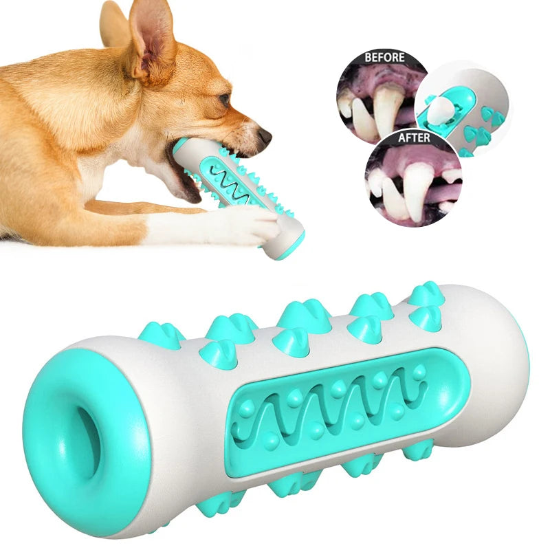 PawChew Soft Dog Toothbrush Toy – Safe & Fun Dental Care for Puppies & Dogs 🦷🐶