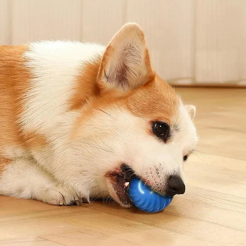 Intelligenter Hundespielzeugball, elektronisch, interaktives Haustierspielzeug, beweglicher Ball, USB, automatisch beweglicher Hüpfball für Welpen, Geburtstagsgeschenk, Katzenprodukte