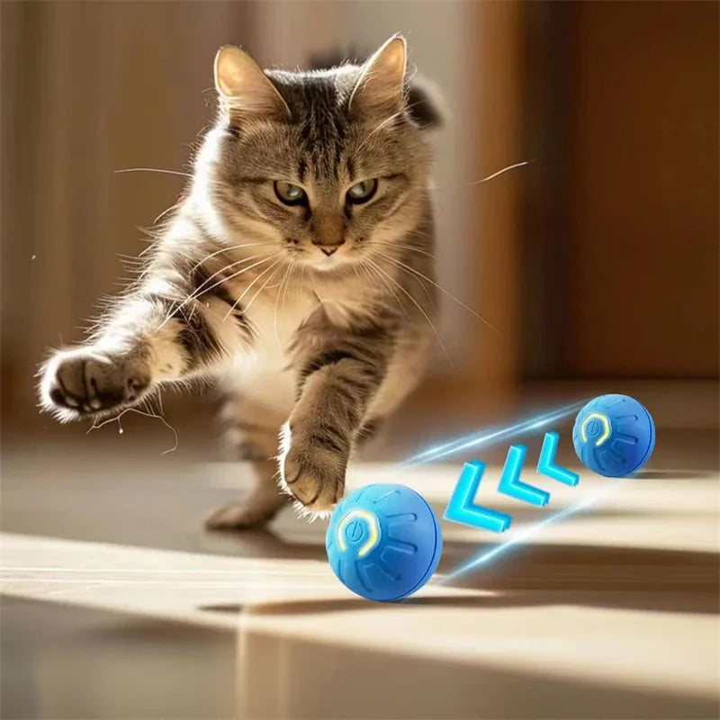 Interactive Smart Pet Ball – USB Rechargeable, Automatic Bouncing & Moving Toy for Dogs & Cats 🎾🐾