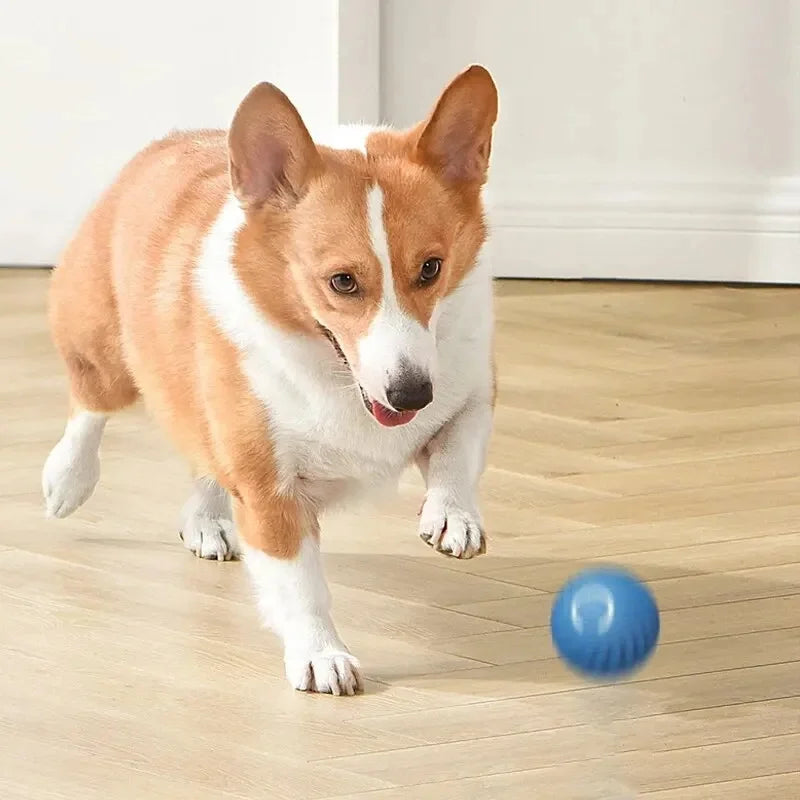 Interactive Smart Pet Ball – USB Rechargeable, Automatic Bouncing & Moving Toy for Dogs & Cats 🎾🐾