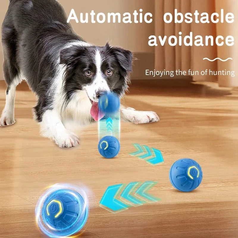 Interactive Smart Pet Ball – USB Rechargeable, Automatic Bouncing & Moving Toy for Dogs & Cats 🎾🐾