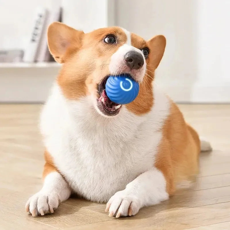 Intelligenter Hundespielzeugball, elektronisch, interaktives Haustierspielzeug, beweglicher Ball, USB, automatisch beweglicher Hüpfball für Welpen, Geburtstagsgeschenk, Katzenprodukte