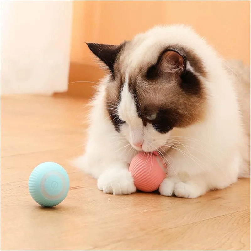 Interactive Smart Pet Ball – USB Rechargeable, Automatic Bouncing & Moving Toy for Dogs & Cats 🎾🐾