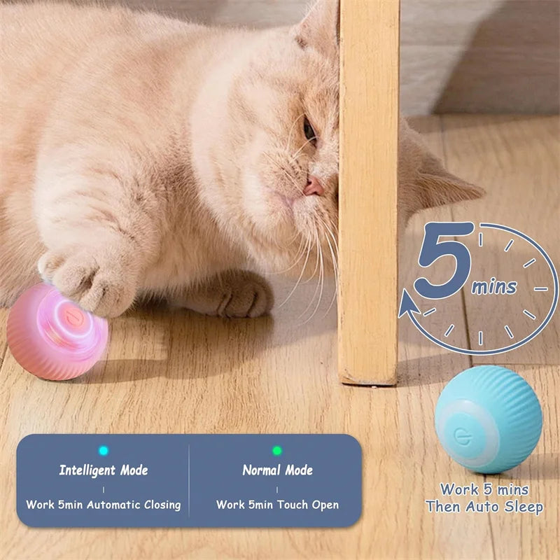 Interactive Smart Pet Ball – USB Rechargeable, Automatic Bouncing & Moving Toy for Dogs & Cats 🎾🐾